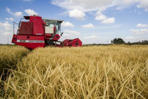 A dependência das commodities agrícolas, como a soja, é um das principais razões do despreparo da América Latina para um crescimento de longo prazo