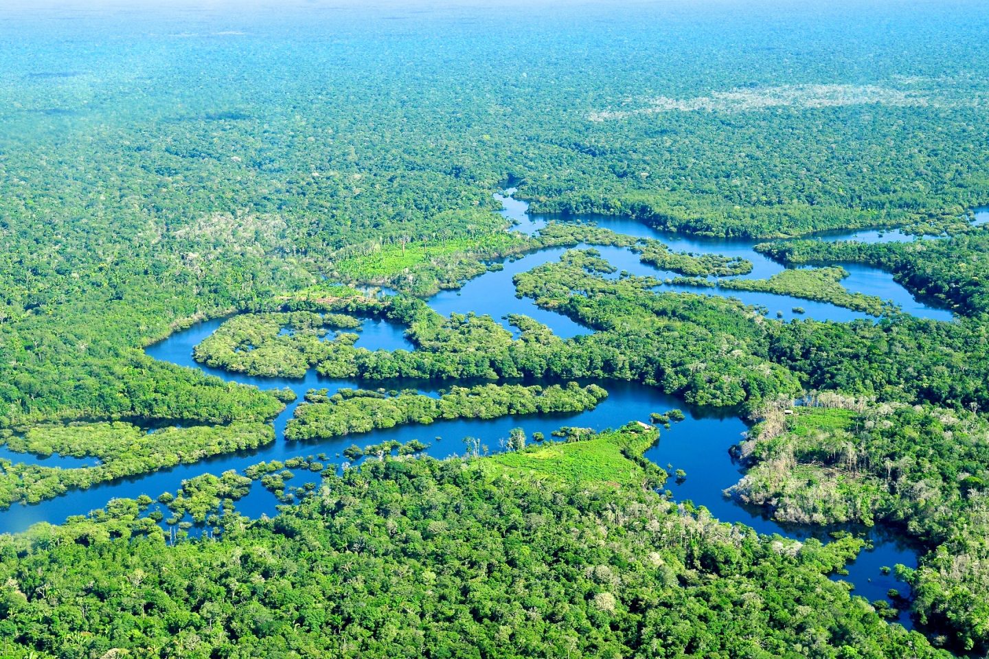 Apesar de continuarem vergonhosamente altos, números do desmatamento na Amazônia vêm caindo há dez anos