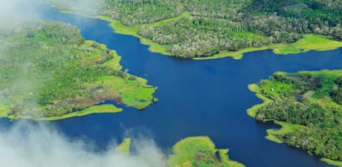 Metas brasileiras de redução das emissões estão focadas no fim do desmatamento ilegal em todos os biomas, na restauração e reflorestamento, na adoção da taxa de reflorestamento, na agricultura de baixo carbono, na ampliação das fontes renováveis de energia e na eficiência energética