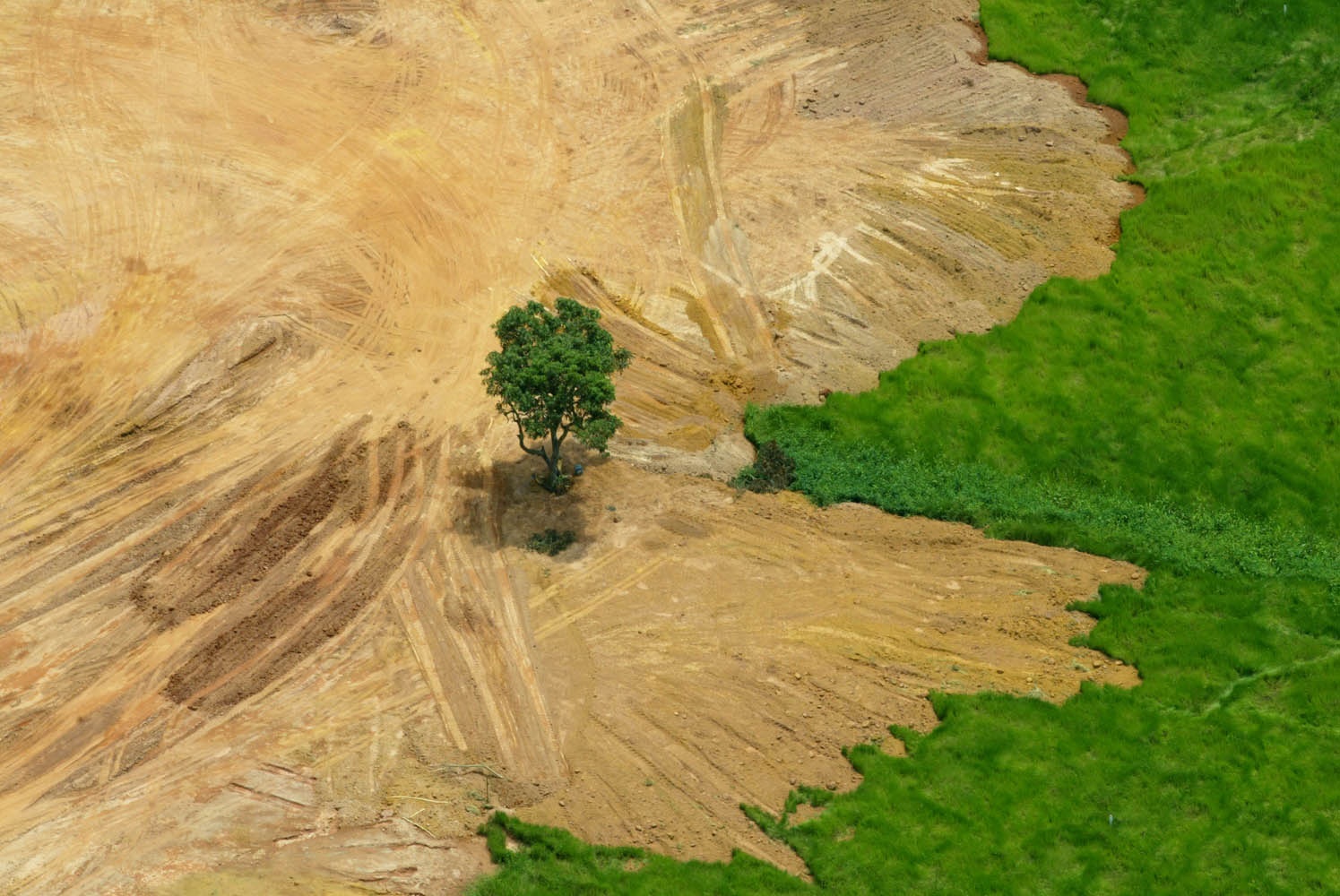 A Floresta Amazônica, que já teve mais de 20% da sua área destruída totalmente, é vítima constante de desmatamentos, garimpos ilegais, mineração predatória e queimadas criminosas. Foto Custódio Coimbra