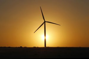 O programa brasileiro de incentivo à energia eólica está entre os 17 bons exemplos mundiais que instituições de pesquisa estão levando para a COP21
