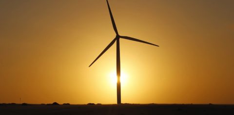 O programa brasileiro de incentivo à energia eólica está entre os 17 bons exemplos mundiais que instituições de pesquisa estão levando para a COP21