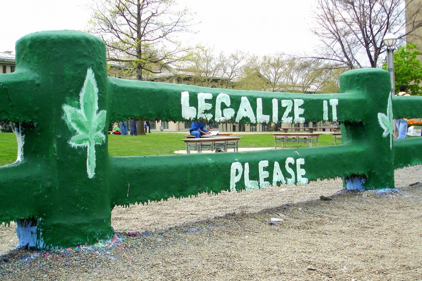 No ano eleitoral de 2016, ou seja, daqui a poucos dias, começará a campanha pela legalização da maconha para fins recreativos em seis estados americanos