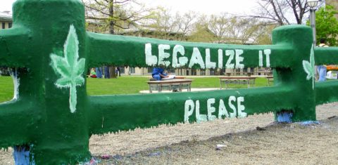 No ano eleitoral de 2016, ou seja, daqui a poucos dias, começará a campanha pela legalização da maconha para fins recreativos em seis estados americanos