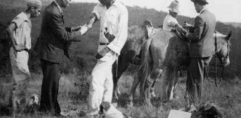 Profissionais de saúde vacinam trabalhadores do campo contra a febre amarela no início dos anos 30. A foto foi capa de um livro lançado em 2002 pela Fiocruz sobre a saga do combate à doença no Brasil desde 1937