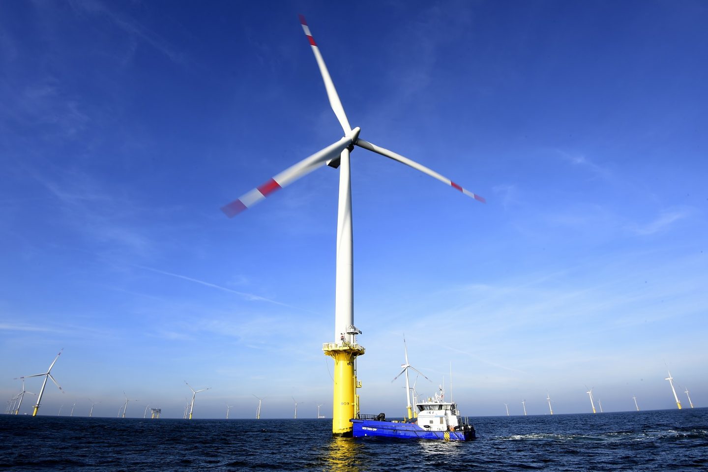 O crescimento das fontes renováveis de energia seria uma das razões da estabilização das emissões de carbono