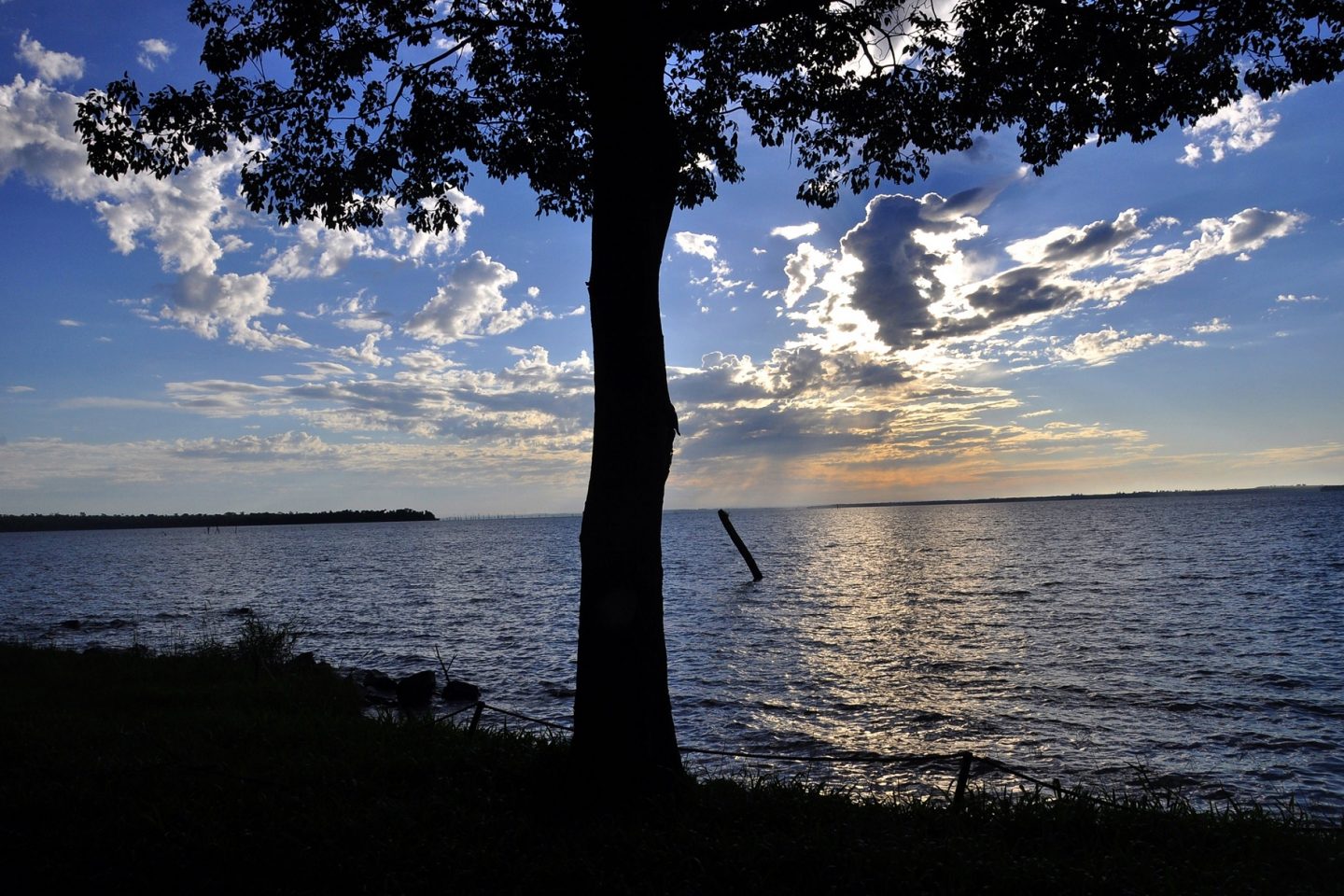 "Cultivando a água" é uma ação que se desenvolve na bacia do Rio Paraná, entre o Mato Grosso do Sul e o Paraná, e vem enfrentando com sucesso os problemas decorrentes do assoreamento dos afluentes e do próprio Rio Paraná