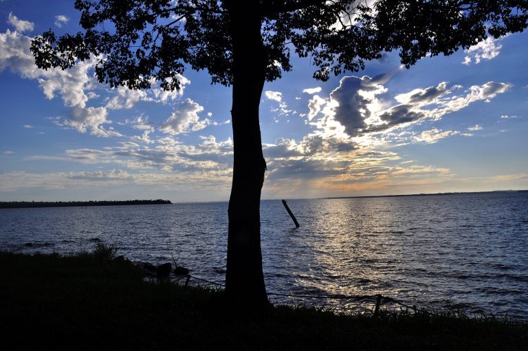 "Cultivando a água" é uma ação que se desenvolve na bacia do Rio Paraná, entre o Mato Grosso do Sul e o Paraná, e vem enfrentando com sucesso os problemas decorrentes do assoreamento dos afluentes e do próprio Rio Paraná