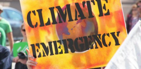 Colocar o acordo climático prática exigirá grande capacidade de ação e clareza de objetivos de nossa sociedade