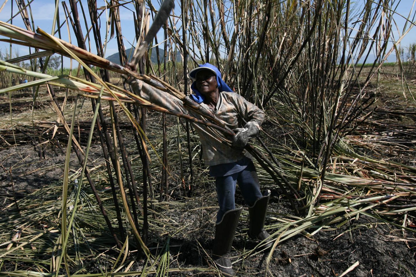 Enquanto continuarmos sendo conhecidos como exportadores açúcar, soja e minério de ferro, seguiremos perdendo espaço no competitivo mercado internacional