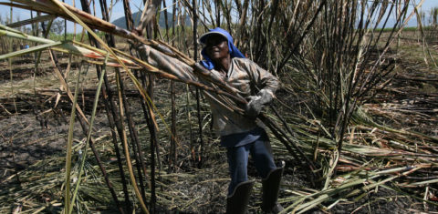 Enquanto continuarmos sendo conhecidos como exportadores açúcar, soja e minério de ferro, seguiremos perdendo espaço no competitivo mercado internacional
