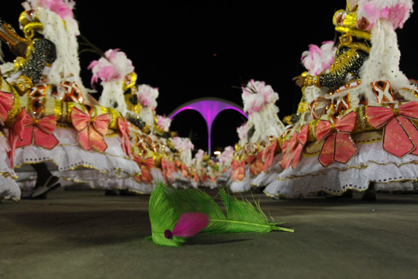 “Não existe crueldade com os animais. Com os faisões e pavões, as penas caem naturalmente; no caso dos avestruzes, as aves são criadas para produção comercial”, Vinicius Ferreira, zootecnista