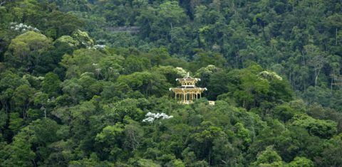 Até 1990, o Rio foi um campeão do desmatamento. Desde 2010, porém, encontra-se no nível do “desmatamento zero”, com supressão de vegetação nativa abaixo de 100 hectares