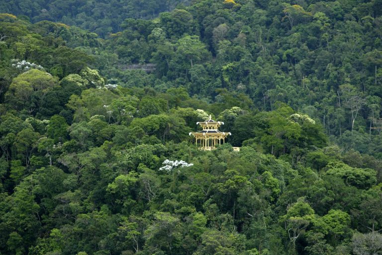 Até 1990, o Rio foi um campeão do desmatamento. Desde 2010, porém, encontra-se no nível do “desmatamento zero”, com supressão de vegetação nativa abaixo de 100 hectares