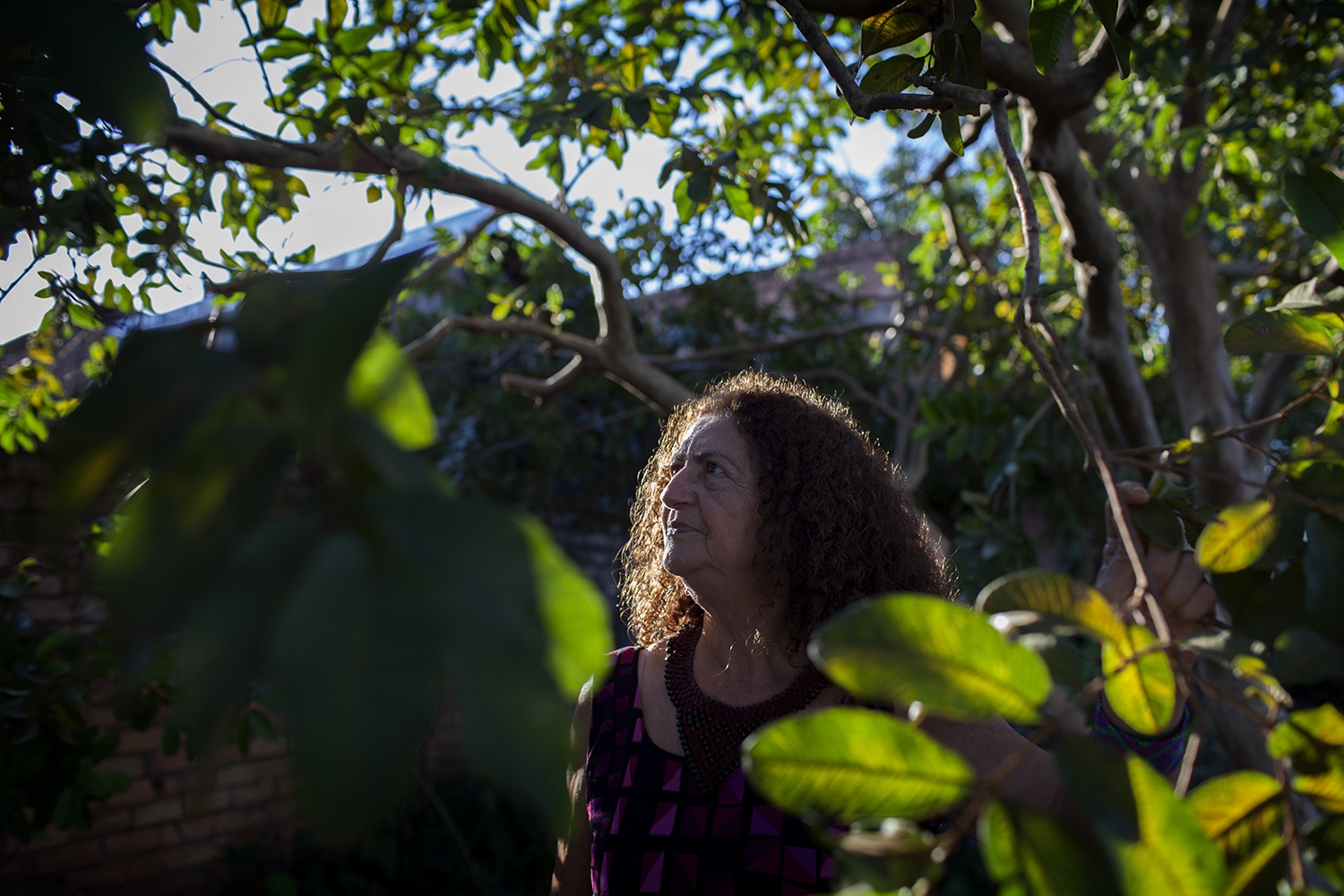 Antônia Mello, da ONG Xingu Vivo, sob uma goiabeira, no quintal da casa onde viveu 35 anos e criou 5 filhos