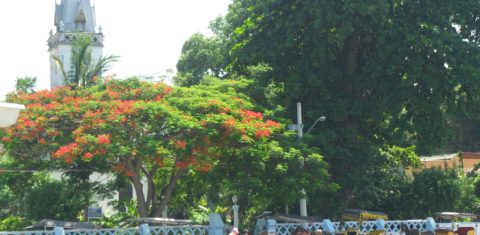 Na praça Pedro Bruno, as charretes enfileiradas aguardam os passageiros que descem das barcas vindo do Rio