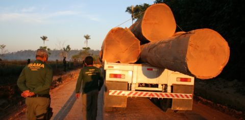 Dos 50 assassinatos ocorridos em 2015, 40 aconteceram na Região Norte, em conflitos ligados ao agronegócio, à mineração e à extração madeireira