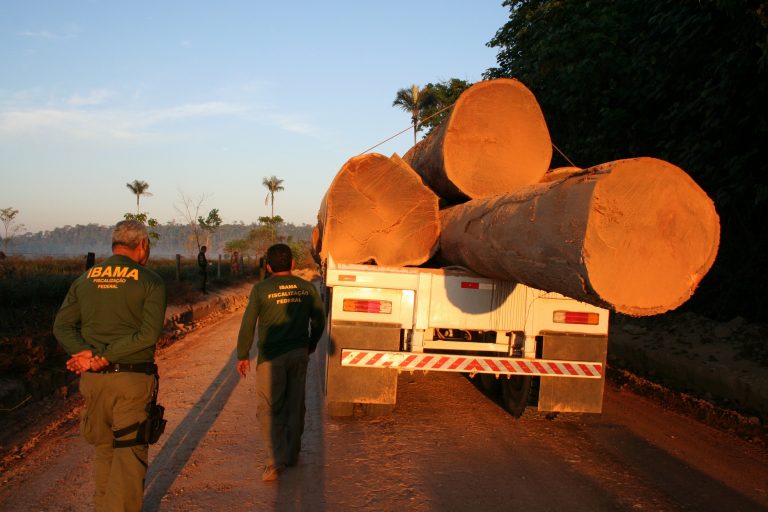 Dos 50 assassinatos ocorridos em 2015, 40 aconteceram na Região Norte, em conflitos ligados ao agronegócio, à mineração e à extração madeireira