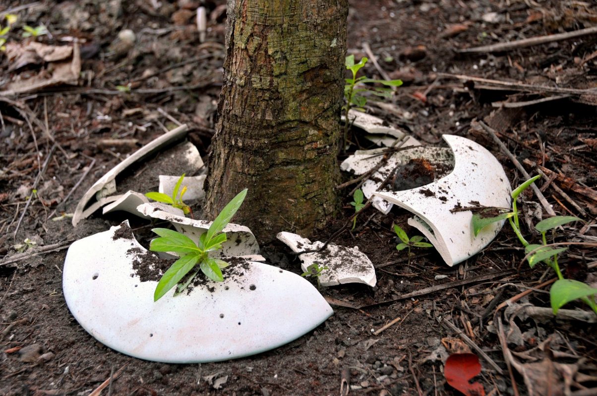 A Spíritree é uma urna biodegradável que se transforma em memorial vivo na forma de uma árvore