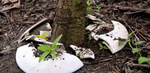 A Spíritree é uma urna biodegradável que se transforma em memorial vivo na forma de uma árvore