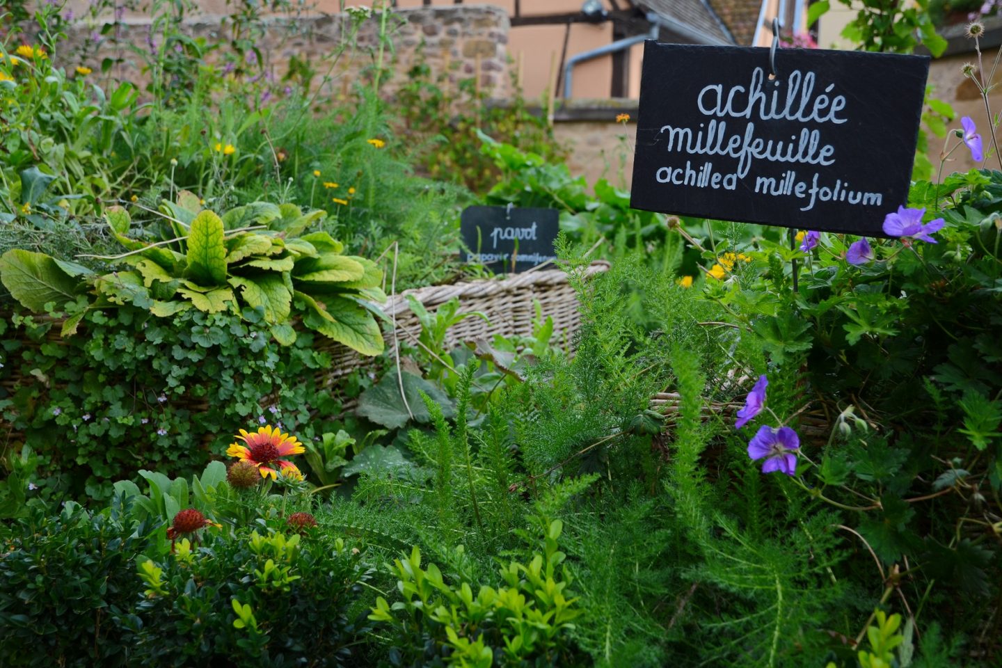 A agricultura urbana é uma das experiências locais que mais ganham espaço no mundo