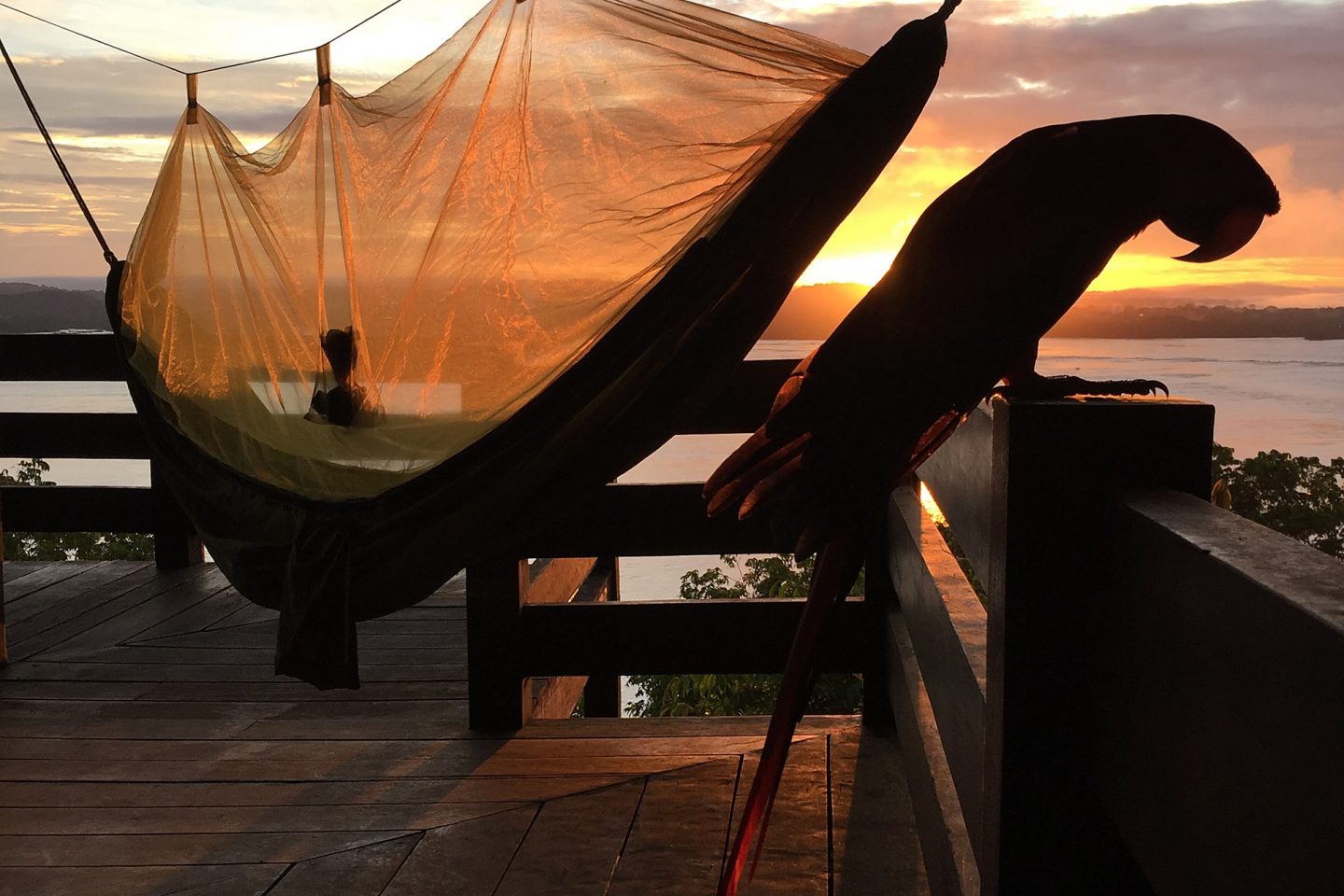 Parque Nacional da Amazônia, no Pará