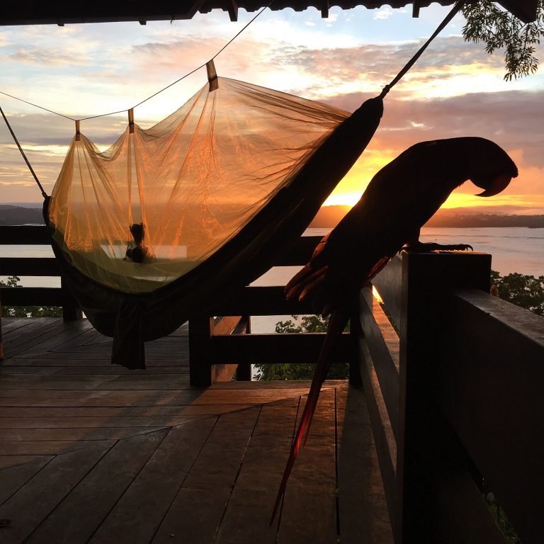 Parque Nacional da Amazônia, no Pará