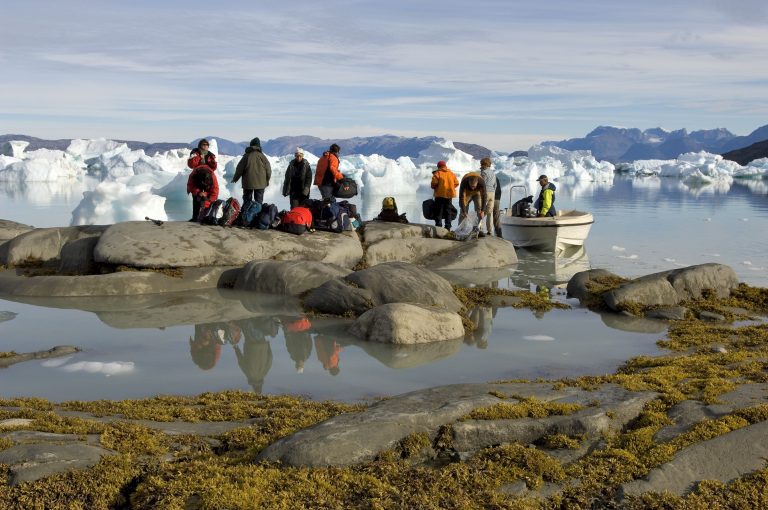 A presença de mais dióxido de carbono favorece o crescimento de plantas em regiões polares no hemisfério norte