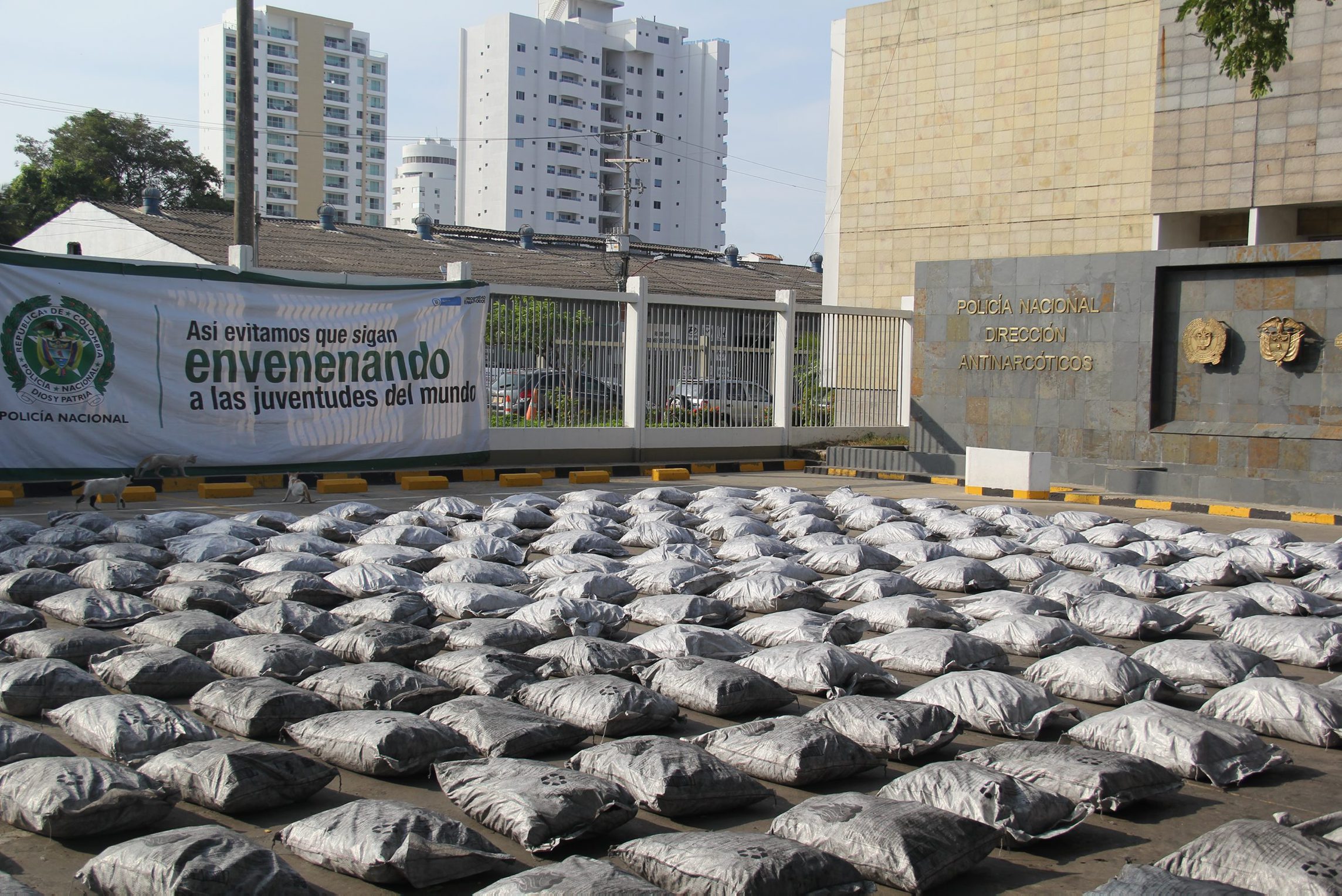 Polícia da Colômbia descobre carregamento de 634 quilos de cocaína camuflada em falsas pedras de carvão com destino a Bélgica
