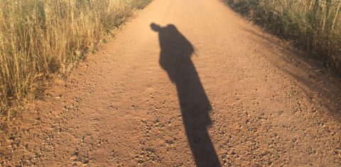 De manhã a sombra do corpo se estende à frente dos peregrinos por dez, vinte, trinta metros no chão