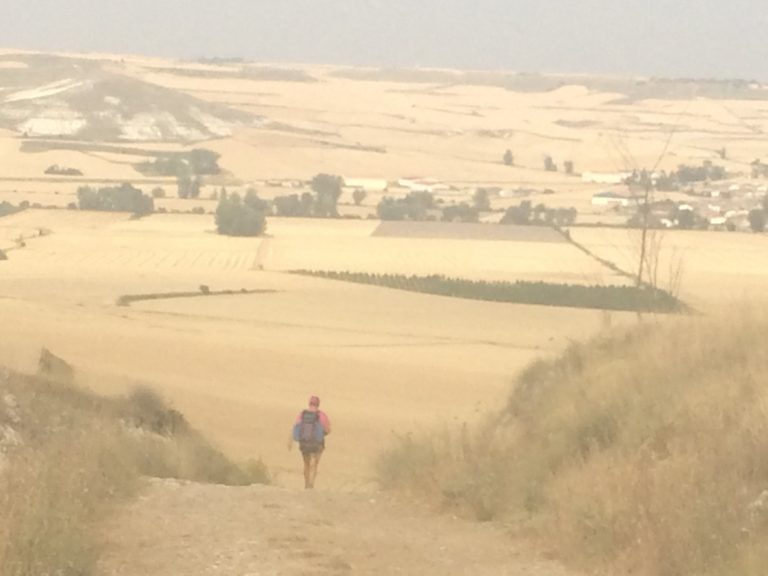 A "Meseta" é crítica. Longas retas, sem sombra alguma, e com um sol de 40 e muitos graus para cada peregrino no verão. Uma paisagem apenas de trigo e cevada
