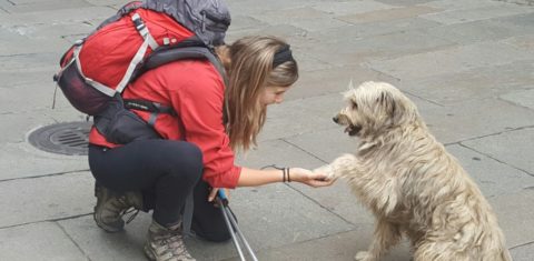 A brasileira Nathália, de Presidente Prudente, foi acompanhada por um cachorro por dezenas de quilômetros até ele ser encontrado pela dona