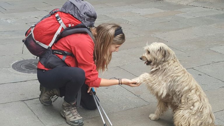 A brasileira Nathália, de Presidente Prudente, foi acompanhada por um cachorro por dezenas de quilômetros até ele ser encontrado pela dona