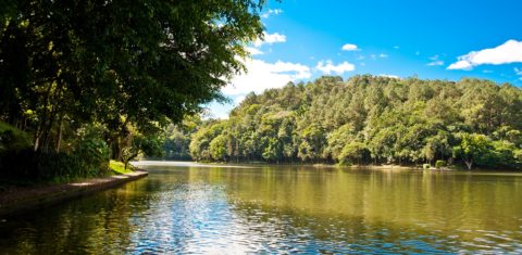 O Parque Malwee, em Jaraguá do Sul, tem 1,5 milhão de metros quadrados e 16 lagoas, (a maior delas com cem mil metros quadrados