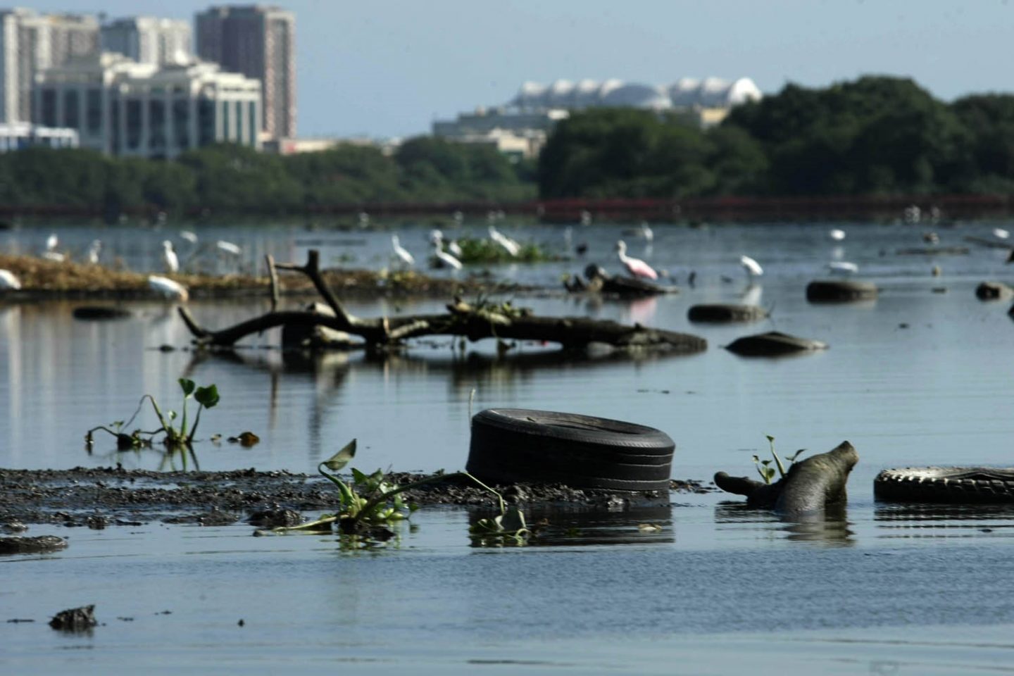 Cerca de 18 mil litros por segundo de esgotos ainda são despejados na baía sem qualquer tratamento