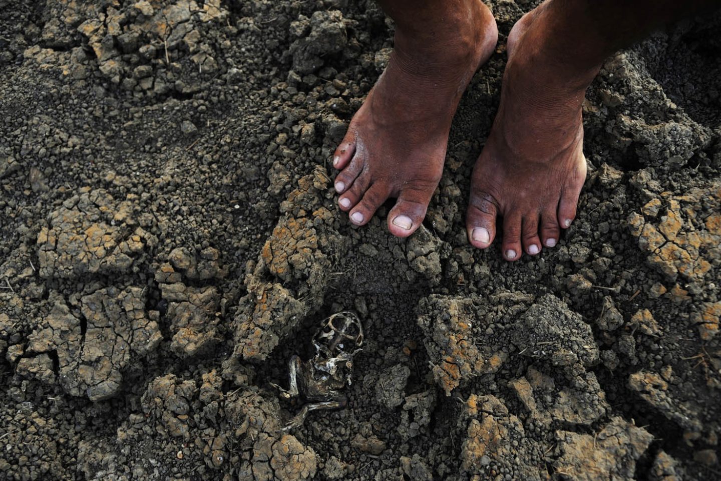 Quixadá - Estiagem no reservatório conhecido como Açude da Pista, que abastecia moradores da comunidade Engano, no distrito de Riacho Verde, em Quixadá, sertão central do Ceará.