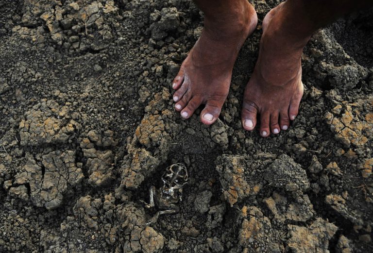 Quixadá - Estiagem no reservatório conhecido como Açude da Pista, que abastecia moradores da comunidade Engano, no distrito de Riacho Verde, em Quixadá, sertão central do Ceará.