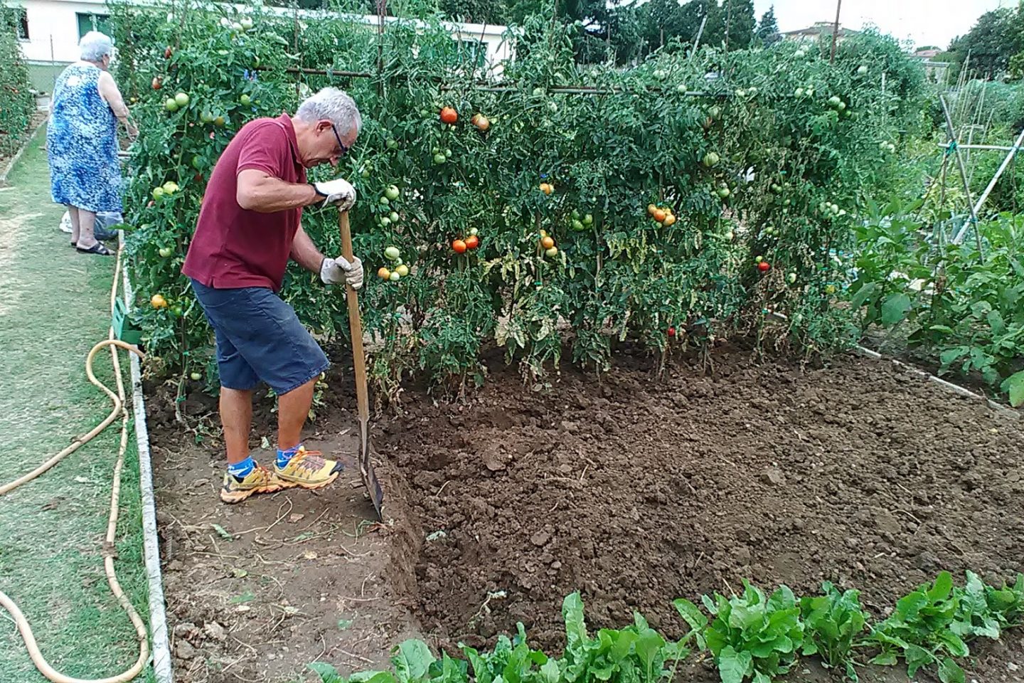 Ativos, idosos aproveitam o trabalho na horta para se reunir, conversar e se divertir. (Foto Luciana Doneda)