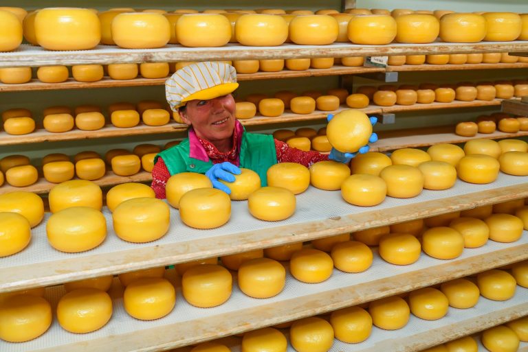 Pesquisa do Ministério da Agricultura mostra que 76% dos alemães preferem os produtos produzidos em sua região. Foto de Patrick Pleul/DPA