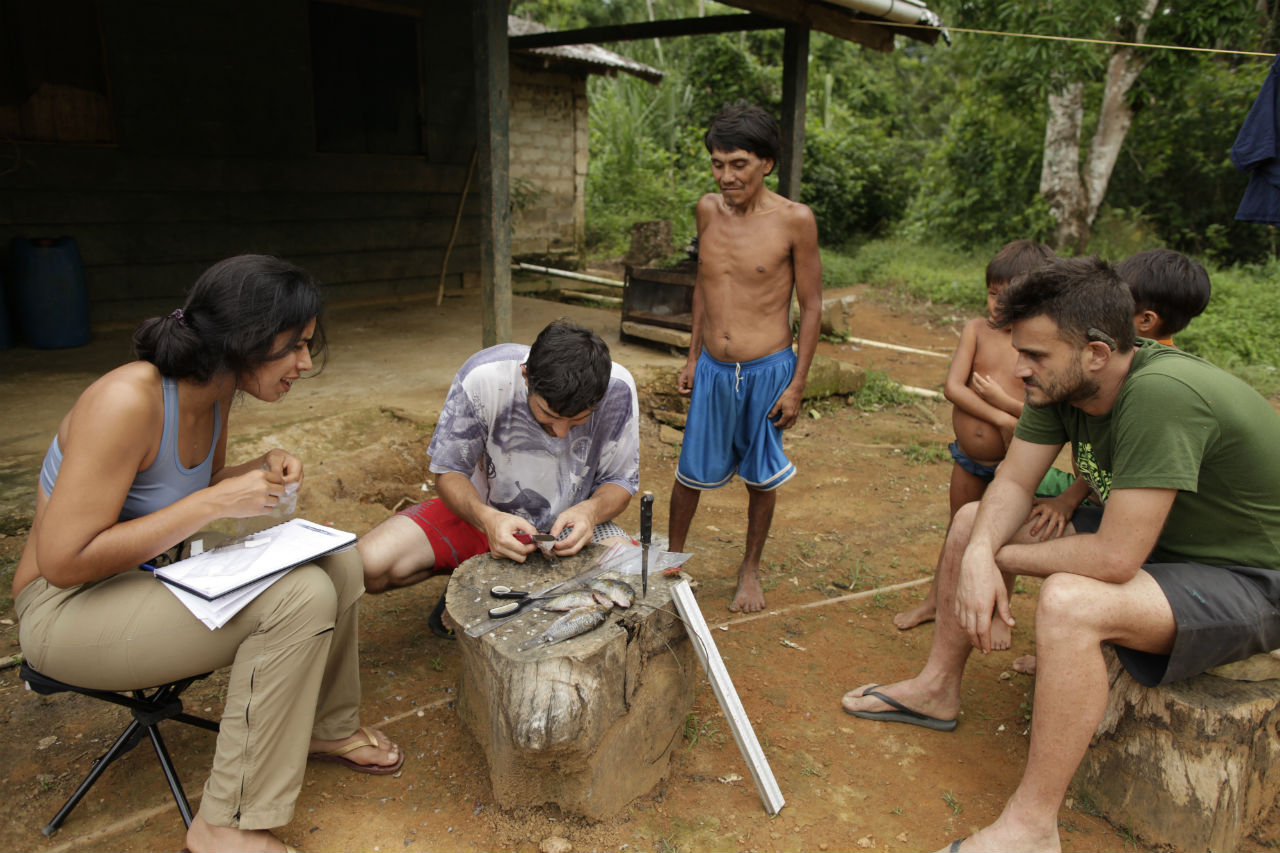Pesquisadores da Fiocruz examinam amostra de peixe em aldeia Yanomami