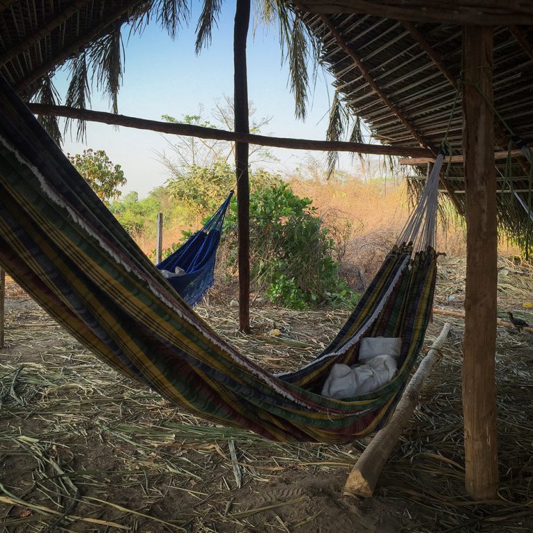 Terra Indígena Arariboia, Maranhão. Foto de Marizilda Cruppe