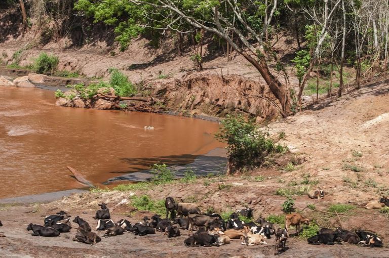 Agua em Gesteira. Foto de Andre Teixeira