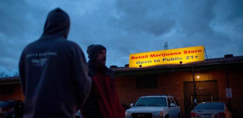Com os referendos, sobem para oito os estados americanos onde o uso de maconha é legal . Foto de Theo Stroomer/Getty Images/AFP