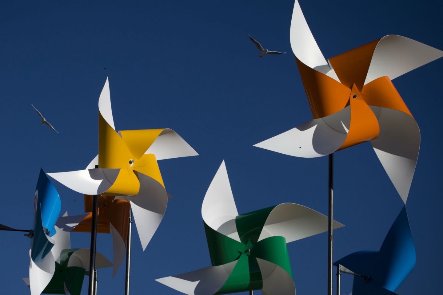 COP22. Foto de Joel Saget/ AFP