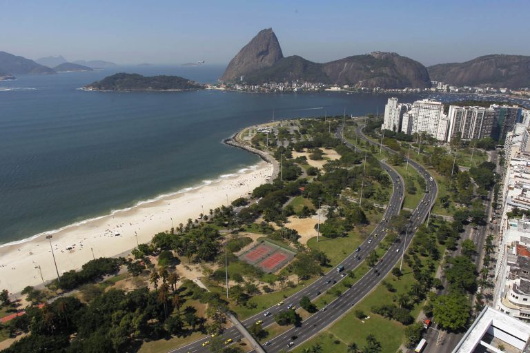 Das 9.930 árvores espalhadas por uma área de mais de um milhão de metros quadrados, 1.162 (ou 11,7%) são exóticas invasoras. Foto de Custódio Coimbra