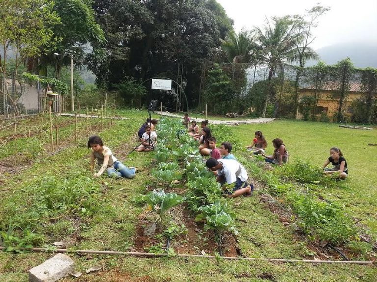 ONG Sinal do Vale. Foto de Divulgacao