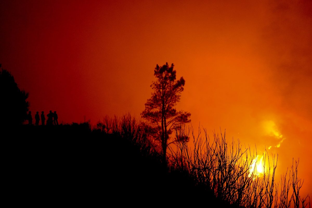 Incêndio na Ilha da Madeira, em agosto de 2016. Ano em que Portugal assumiu a liderança no ranking de queimadas na Europa. Foto de Patrícia de Melo Moreira/AFP