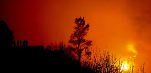 Incêndio na Ilha da Madeira, em agosto de 2016. Ano em que Portugal assumiu a liderança no ranking de queimadas na Europa. Foto de Patrícia de Melo Moreira/AFP