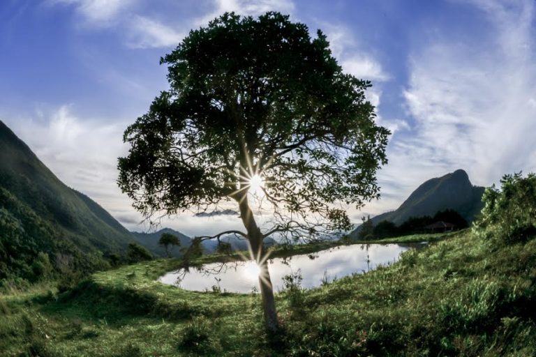 Monique Cabral/ Foto de Divulgação