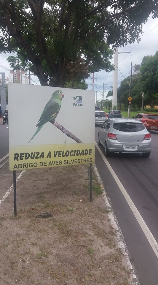 Placa alertando os motoristas não tem surtido muito efeito. Foto Rogério Gribel
